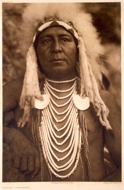 Upshaw da tribo Apsaroke 作： Edward Sheriff (after) Curtis