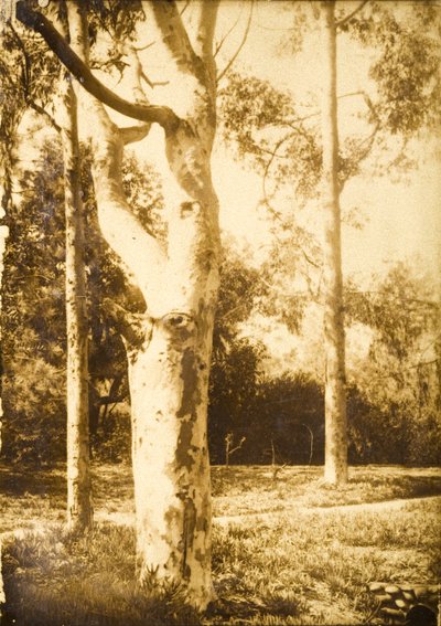 農場にて、シアトル、ワシントン州 作： Edward Sheriff Curtis