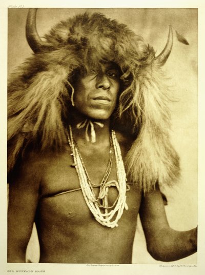両バッファローマスク 作： Edward Sheriff Curtis