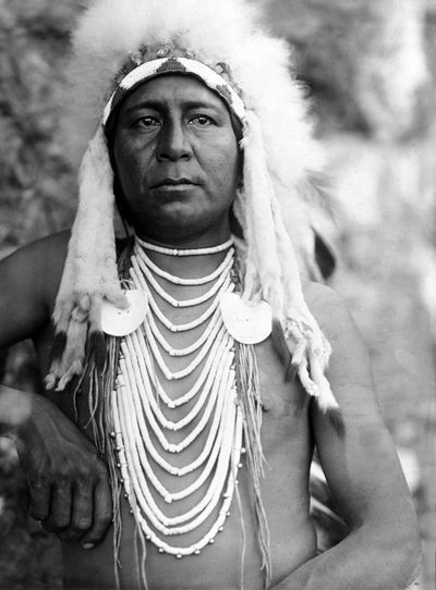 Upshaw, Apsaroke (Corvo), c. 1905, foto Edward S. Curtis 作： Edward Sheriff Curtis