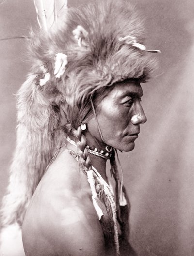 黄色い腎臓、ピーガン 作： Edward Sheriff Curtis