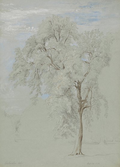 灰の木 作： Edward Swinburne