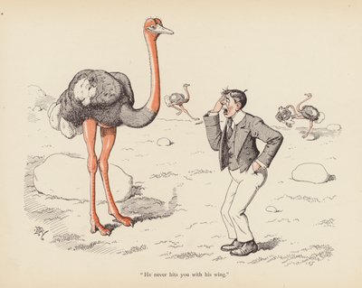 ツイストのある尾: ダチョウ (色リソ) 作： Edward Tennyson Reed