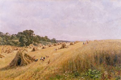 トウモロコシ畑の収穫 作： Edward Wilkins Waite