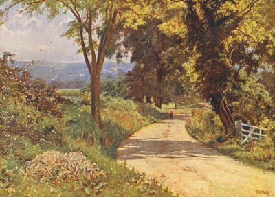 私の道（カラーリトグラフ） 作： Edward Wilkins Waite