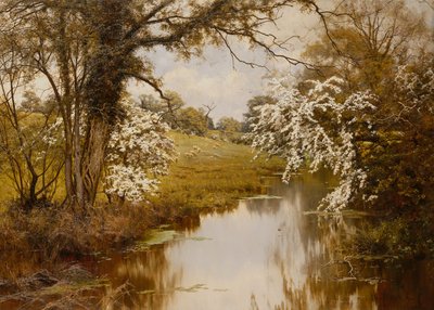サンザシが陽気に咲く場所（キャンバスに油彩） 作： Edward Wilkins Waite