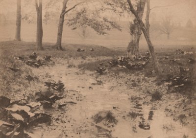 春の風景、1890年代（写真） 作： エドワード・ウィリス・レッドフィールド