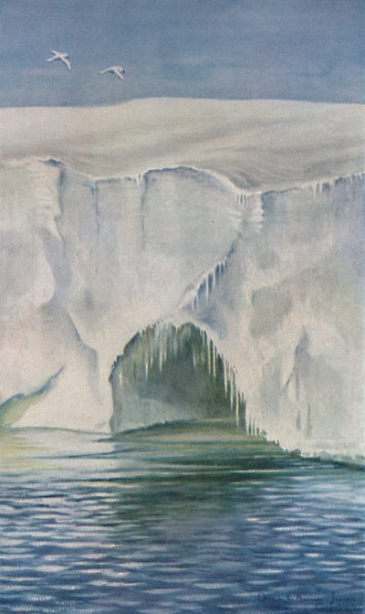 バリアの洞窟、ケープクロジエ、1911年1月4日、1913年 作： Charles Edward Wilson