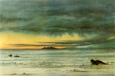 「マクマード海峡の北を見る」、1911 年、1946 年。 作： Edward Wilson
