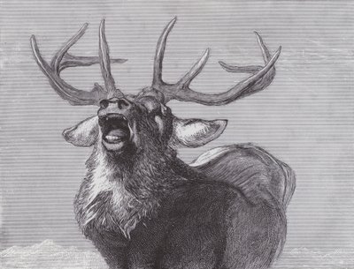 挑戦 作： Edwin (after) Landseer