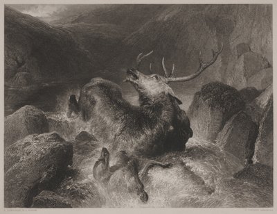 ジョン・カウゼン（1804-80）によって刻まれたクワガタの死 作： Edwin (after) Landseer