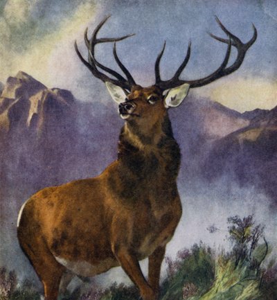 The Monarch of the Glen（カラーリトグラフ版 作： Edwin (after) Landseer