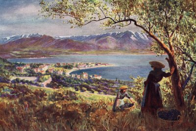 コルシカ島アジャクシオの全景（カラーリトグラフ 作： Edwin Arthur Norbury