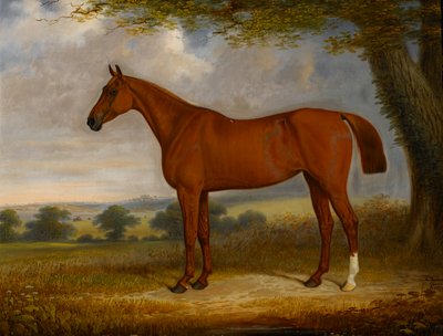 風景の中の栗ハンター、1867年 作： Edwin Brown