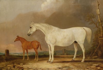 不明な画像 作： Edwin Cooper