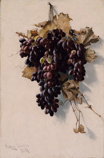 ブドウのある静物 作： Edwin Deakin
