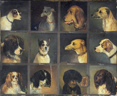 12匹の好きな犬、1883年 作： Edwin Frederick Holt