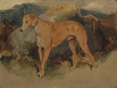 ディアハウンド、1826年。 作： Edwin Landseer