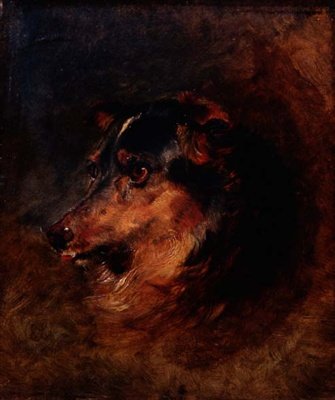 コリー犬のヘッドスタディ 作： Edwin Landseer