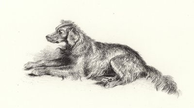 セッター犬 作： Edwin Landseer