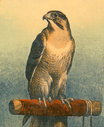 ファルコン 作： Edwin Landseer