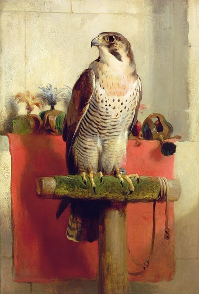 ファルコン、1837 作： Edwin Landseer