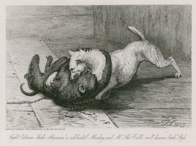 有名なサル、ジャッコマカッコとトーマスカブ氏の有名な雌犬、小娘との戦い 作： Edwin Landseer