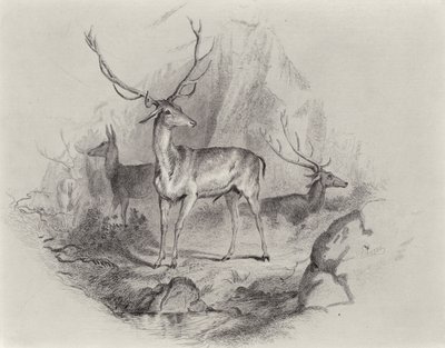 グレンで 作： Edwin Landseer