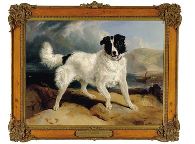 ウィリアム・エリス・ゴズリングの所有物であるネプチューン、Esq。、1824 作： Edwin Landseer