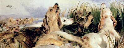 オッターハウンド 作： Edwin Landseer