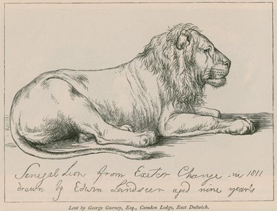 エクセターチェンジのセネガルライオン 作： Edwin Landseer