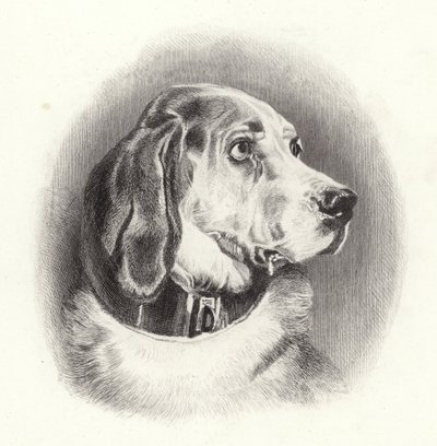 ブラッドハウンド 作： Edwin Landseer