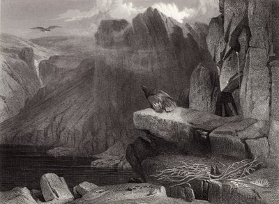 鷲の巣 作： Edwin Landseer