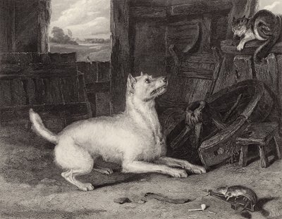 侵入者 作： Edwin Landseer