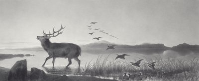 救助 作： Edwin Landseer