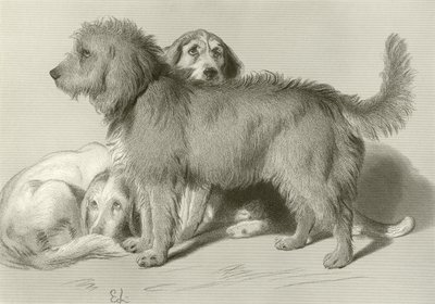 三匹の犬 作： Edwin Landseer