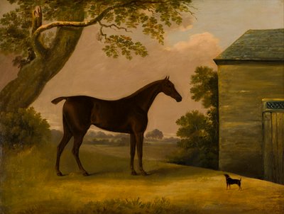 ベイハンターと厩舎の外のテリア、1805年頃（キャンバスに油彩） 作： Edwin W. Cooper