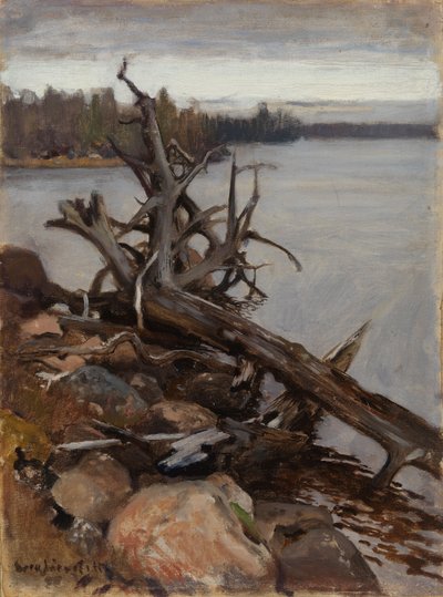  作： Eero Järnefelt