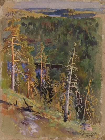  作： Eero Järnefelt