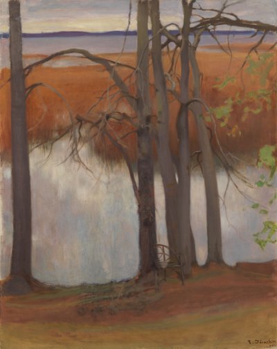  作： Eero Järnefelt