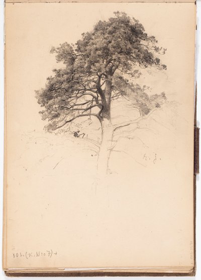  作： Eero Järnefelt