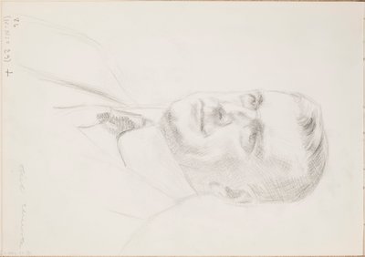  作： Eero Järnefelt