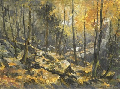 「フェルゼンメール」 作： Egbert Rubertus Derk Schaap