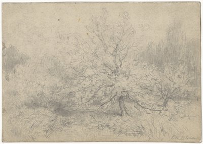 真ん中に木が目立つ風景 作： Egbert Rubertus Derk Schaap