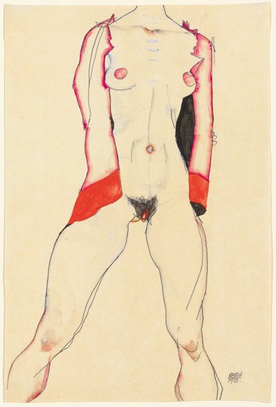女性の胴;女性の胴、1913 作： Egon Schiele