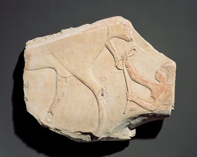 テベ、アサシフ、第3中期（c.1069-664 BC）の子牛の誕生を描いたレリーフの断片（石灰岩） 作： Egyptian