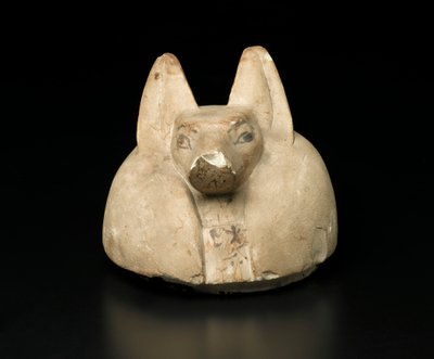 天蓋付きの壺のジャッカルヘッドカバー（石灰岩） 作： Egyptian