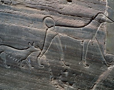犬のカップル、入り口のレリーフ、サレンプット 2 世の墓、君主の墓、Qubbet el-Hawa、アスワンのナイル川西岸、エジプト文明、中王国、XII 王朝 作： Egyptian 12th Dynasty