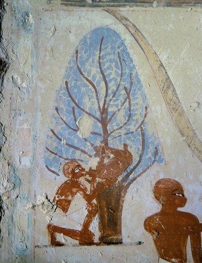  作： Egyptian 18th Dynasty