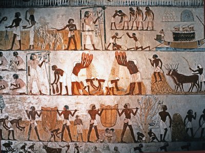 エジプト美術：収穫の場面。紀元前1400年頃、エルヴェのメンナの墓の壁画（石灰岩） 作： Egyptian 18th Dynasty